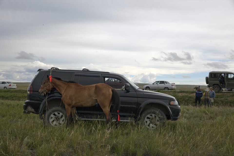 A horse tied to an off-road vehicle before the yearly Naadym horse race. Owning horses is considered a matter of prestige and wealth by many Tuvans, and the yearly Naadym horse race requires a lot of money and effort and rarely pays off. Tos-Bulak, Tuva, Russia.