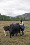 Bayir-Kys Banchyk with one of her yaks Masha. Mrs Banchyk, 40, a mother of three and native of this remote Kachyk area in southeastern Tuva bordering Mongolia, holds a well-paying government job of director of the village hall and has about 180 of own cows, several horses, and yaks. After the breakup of the Soviet Union citizens were allowed to raise stock of their own, and many Tuvans who had earlier been forced to abandon their thousand-year-old stock farming practices by the Soviet regime are gradually returning to the lifestyles of their stock farming ancestors.