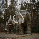 Family of mammoths