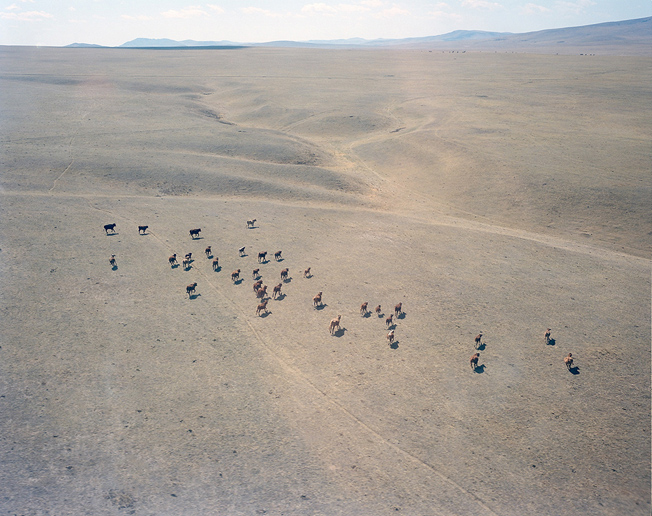 Mongolian steppe near Sharyn Gol mine seen from helicopter landing
