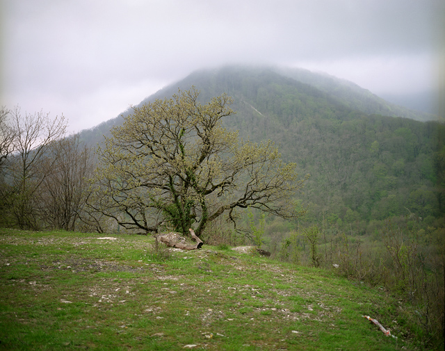 The Ashe river valley located in an area near Sochi where a few thousand Circassians live in compact communities. Before the Russian-Caucasian war, a large Circassian village was located along the river Ashe – stretched from its mouth up to the mountains for 20 km. During the mid 19th-century Circassian tragedy, all native villages have been completely erased. ASHE VALLEY/SOCHI, RUSSIA, 2009
