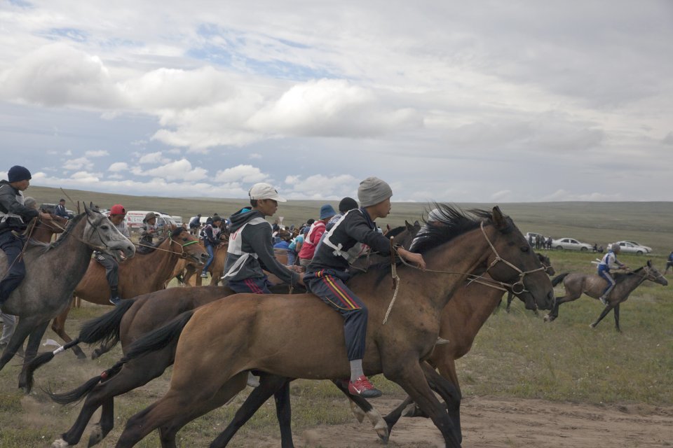 Start of the yearly 15-km horse race as part of Naadym farmers' fest. Tuvan race rules allow neither saddles nor helmets. Boys can become jockeys since the age of 6. Tos-Bulak, Tuva, Russia.